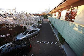 Park Motor 4*
